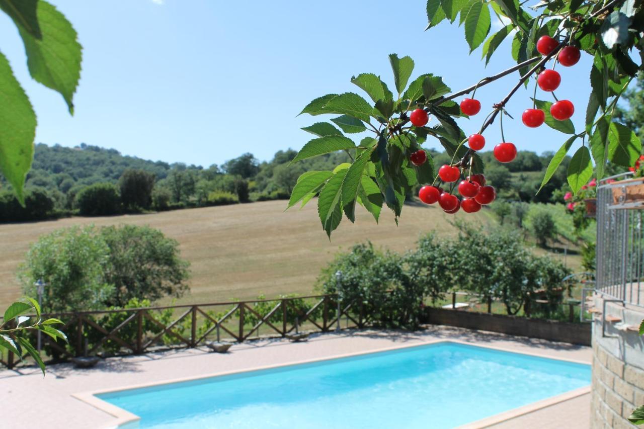 Macchiapiana Villa Scansano Dış mekan fotoğraf
